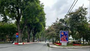 ទីក្រុងហាណូយ ជាប់ចំណាត់ថ្នាក់ក្នុងចំណោមទីក្រុងស្អាតបំផុតទាំង ៥០ នៅលើពិភពលោក