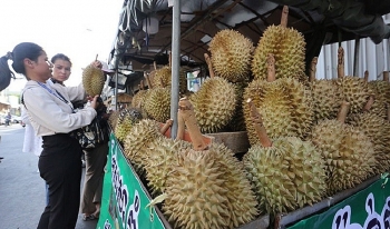 ពាណិជ្ជកម្មកសិផលវៀតណាម-កម្ពុជា៖ ការនាំចេញកើនឡើងយ៉ាងខ្លាំង ប៉ុន្តែឱនភាពពាណិជ្ជកម្មនៅតែមានទំហំធំ ក្រសួងឧស្សាហកម្ម និងពាណិជ្ជកម្ម បង្ហាញបញ្ហា