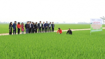 ទីក្រុង Ha Noi៖ ដំណើរ ១៥ ឆ្នាំនៃភាពជោគជ័យក្នុងការកសាងជនបទថ្មី