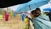 ភ្ញៀវទេសចរណ៍បរទេសស៊ូទ្រាំនឹងទឹកភ្លៀងចូលរួមក្នុងពិធីបុណ្យ Cau Bong នៅ Hoi An