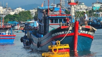 ការប្រមូលផលត្រីធូណាយ៉ាងច្រើនសន្ធឹកសន្ធាប់ ខណៈពេលដែលរឹតបន្តឹងបទប្បញ្ញត្តិនេសាទ IUU (ខុសច្បាប់ មិនបានរាយការណ៍ និងមិនមានការគ្រប់គ្រង)៖ ខេត្ត Khanh Hoa ចា