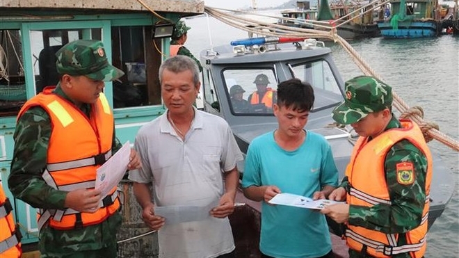 ការដោះស្រាយ "កាតលឿង" IUU៖ ខេត្តក្វាងនិញកំពុងអនុវត្តដំណោះស្រាយយ៉ាងម៉ឺងម៉ាត់