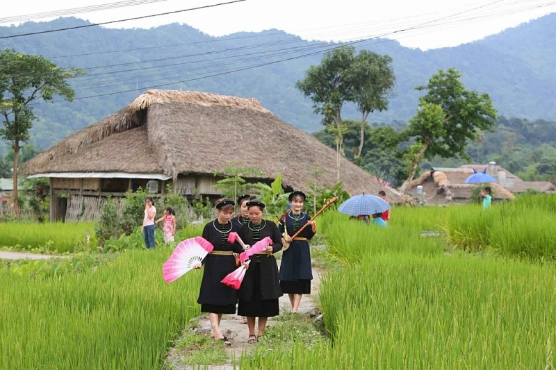 ការធានា និងការលើកកម្ពស់សិទ្ធិមនុស្សនៅវៀតណាម៖ ភស្តុតាងពីការអនុវត្ត