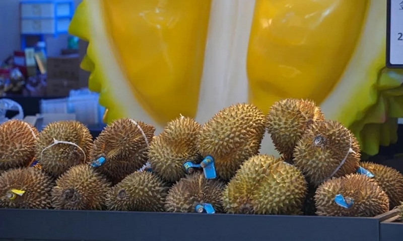 អ្នកប្រាជ្ញ ចិន៖ ដំណើរទស្សនកិច្ចរបស់អគ្គលេខាធិការបក្ស ប្រធានរដ្ឋ To Lam ក្នុងគោលបំណងធ្វើឱ្យជាក់ស្តែងនូវបណ្តាផែនការយុទ្ធសាស្ត្រជារួម