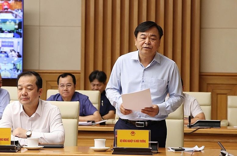 ពន្លឿនការដក 