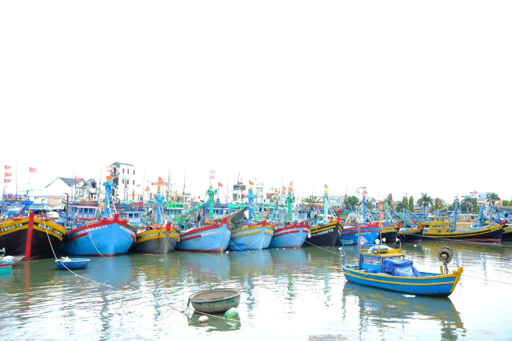 ខេត្ត Lam Dong បង្កើតក្រុមការងារអន្តរវិស័យប្រឆាំងការនេសាទ IUU