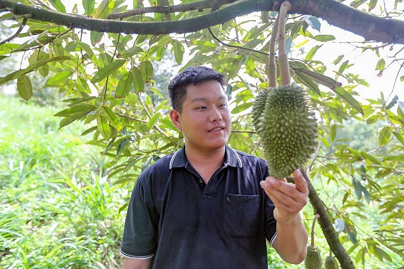 ជួយយុវជននៅ Lam Dong ឱ្យក្លាយជាអ្នកមាននៅលើទឹកដីកំណើតរបស់ពួកគេ