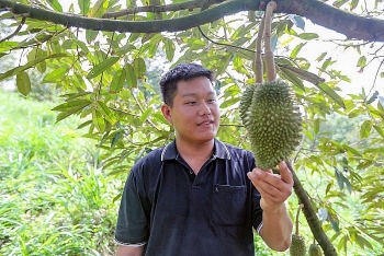 ជួយយុវជននៅ Lam Dong ឱ្យក្លាយជាអ្នកមាននៅលើទឹកដីកំណើតរបស់ពួកគេ