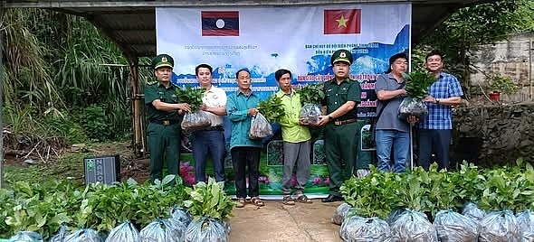ខេត្ត Son La អនុវត្តម៉ូដែល “ចែករំលែកក្តីស្រឡាញ់ ភ្ជាប់សម័យព្រំដែន” ខេត្ត Son La អនុវត្តម៉ូដែល “ចែករំលែកក្តីស្រឡាញ់ ភ្ជាប់សម័យព្រំដែន”