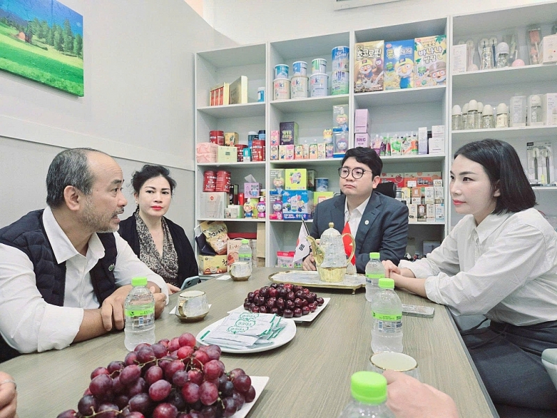 អនុវត្តសកម្មភាពជួយឧបត្ថម្ភ និងចលនាសហគមន៍វៀតណាមនៅកូរ៉េ