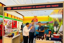នៅទីក្រុងហូជីមិញ សន្និសីទតភ្ជាប់ធុរកិច្ចវៀតណាម-កម្ពុជាឆ្នាំ២០២៥ នឹងប្រព្រឹត្តទៅ