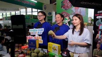ការធ្វើបរិវត្តកម្មឌីជីថលពង្រីកឱកាសអភិវឌ្ឍន៍សម្រាប់ជនជាតិភាគតិច