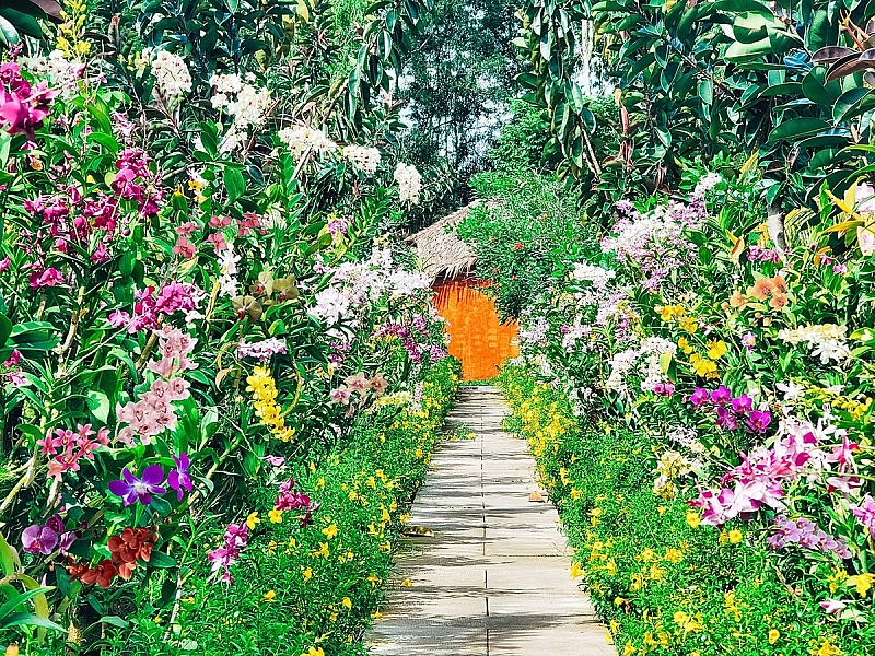 កោតសរសើរផ្ទាំងគំនូរ 