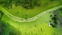 កោតសរសើរផ្ទាំងគំនូរ 
