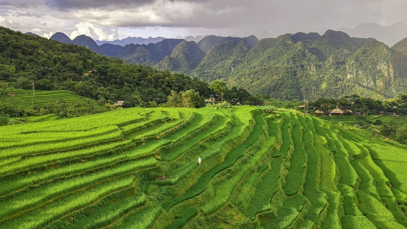 Pu Luong នៅ Thanh Hoa - ឋានសួគ៌កណ្តាលព្រៃ