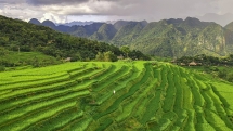Pu Luong នៅ Thanh Hoa - ឋានសួគ៌កណ្តាលព្រៃ