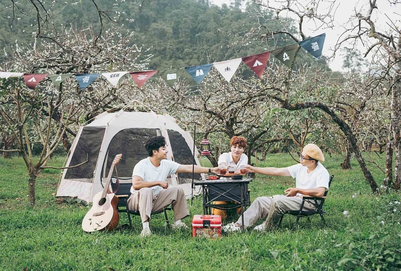 មើលផ្កា plum ក្រៅរដូវនៅ Moc Chau