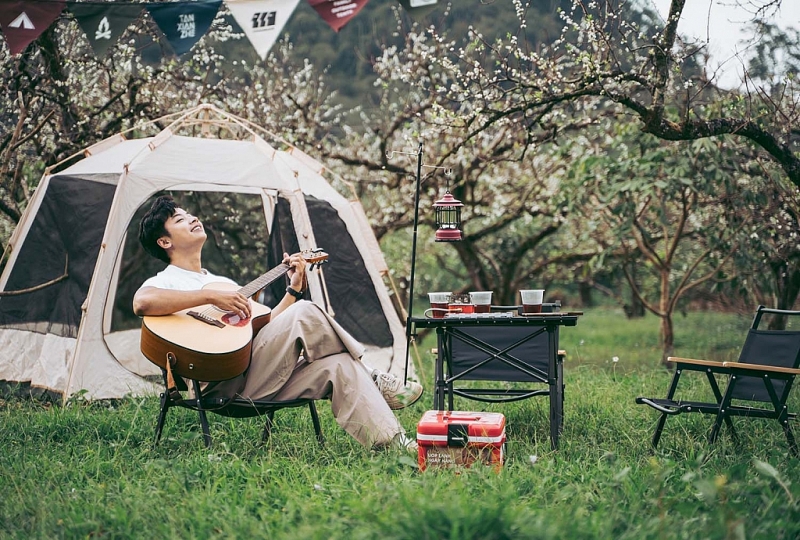 មើលផ្កា plum ក្រៅរដូវនៅ Moc Chau