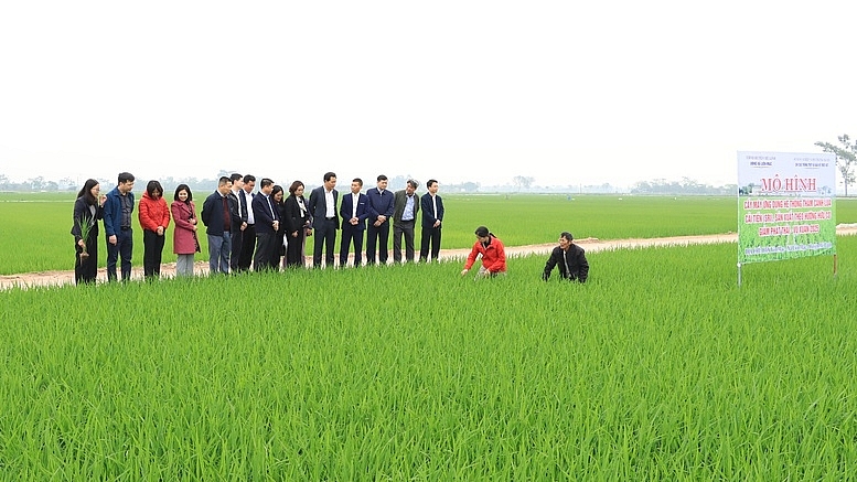 ទីក្រុង Ha Noi៖ ដំណើរ ១៥ ឆ្នាំនៃភាពជោគជ័យក្នុងការកសាងជនបទថ្មី ទីក្រុង Ha Noi៖ ដំណើរ ១៥ ឆ្នាំនៃភាពជោគជ័យក្នុងការកសាងជនបទថ្មី