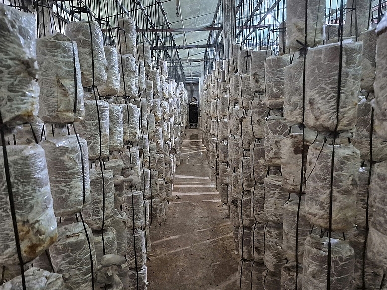 បញ្ជាក់ពីម៉ាកផលិតផលកសិកម្មស្អាតពីផលិតផល OCOP បញ្ជាក់ពីម៉ាកផលិតផលកសិកម្មស្អាតពីផលិតផល OCOP