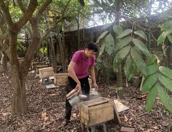 បញ្ជាក់ពីម៉ាកផលិតផលកសិកម្មស្អាតពីផលិតផល OCOP