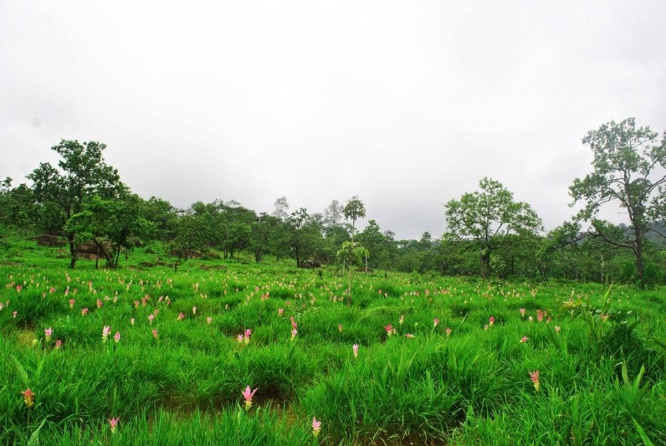 ខែ​ត្រជាក់​អ៊ីចឹង ទៅ​លេង​៤​កន្លែង​នេះ​នៅ​កម្ពុជា​​សប្បាយ​ខ្លាំងណាស់