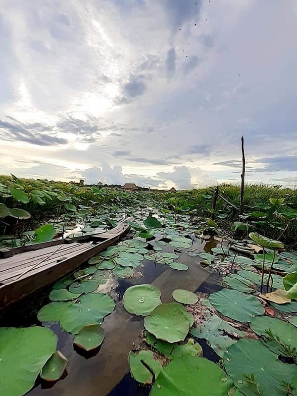 បឹងទឹកសាបក្បែរជើងភ្នំទេសភាពស្អាតស្រស់នៅបន្ទាយស្រី ចង់ទៅលេងភ្លាមៗ