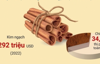 វៀតណាមជាប្រទេសនាំចេញ cinnamon ឈានមុខគេលើពិភពលោក
