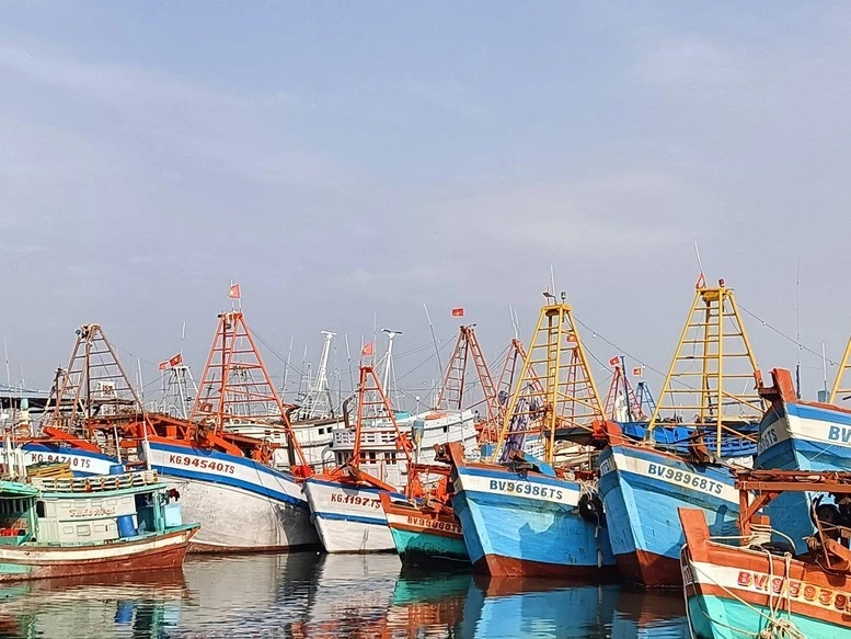 ទីក្រុងហូជីមិញលែងមាននាវានេសាទ IUU ទៀតហើយ