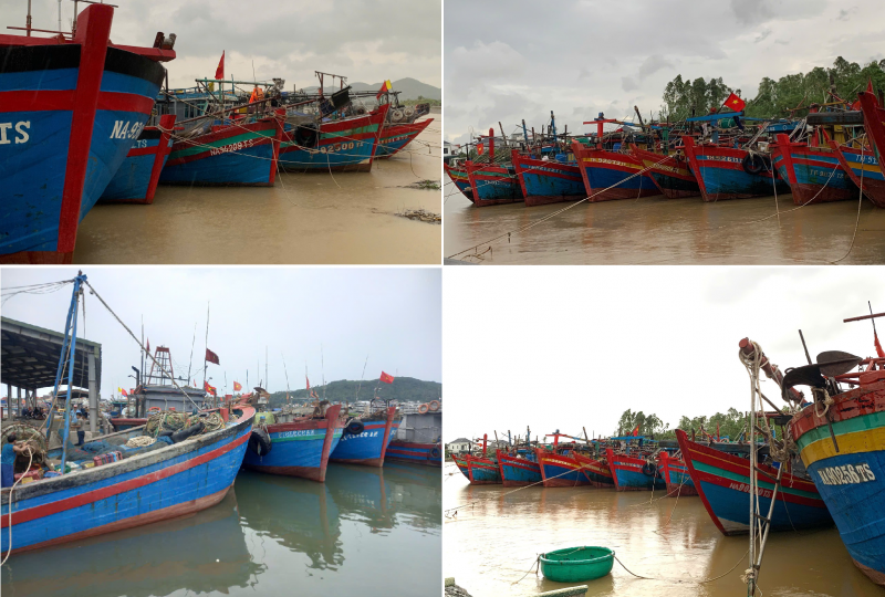 ខេត្ត ​Nghe An ចាត់វិធានការជាបន្ទាន់ក្នុងខែដ៏មមាញឹកប្រឆាំងនឹងការនេសាទខុសច្បាប់ (IUU)