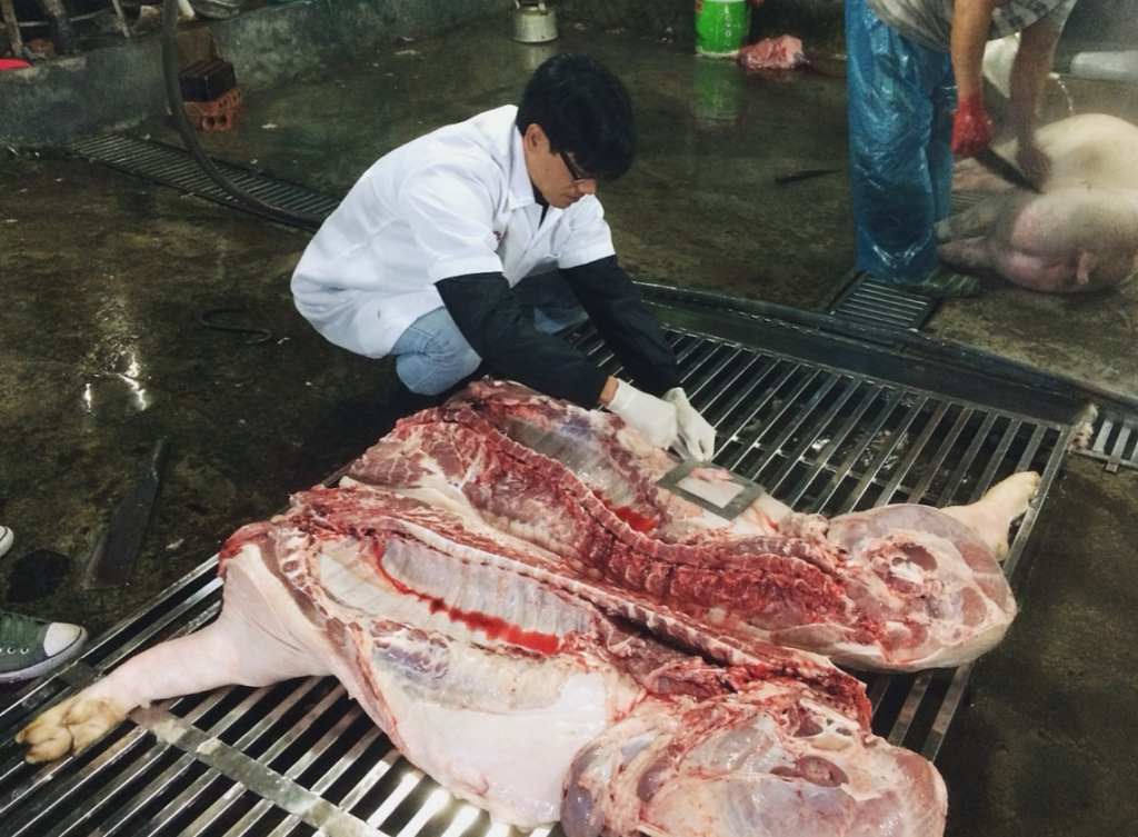 ការចូលរួមចំណែករបស់ ILRI នៅក្នុងប្រទេសវៀតណាម