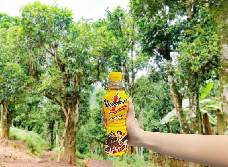 នៅកណ្តាលពពកពណ៌សនៃ Tua Chua ក្មេងស្រីនេះបានបញ្ឆេះចំណង់ចំណូលចិត្តចំពោះក្តីស្រមៃនៃតែសានទឿយៀតវៀតណាម