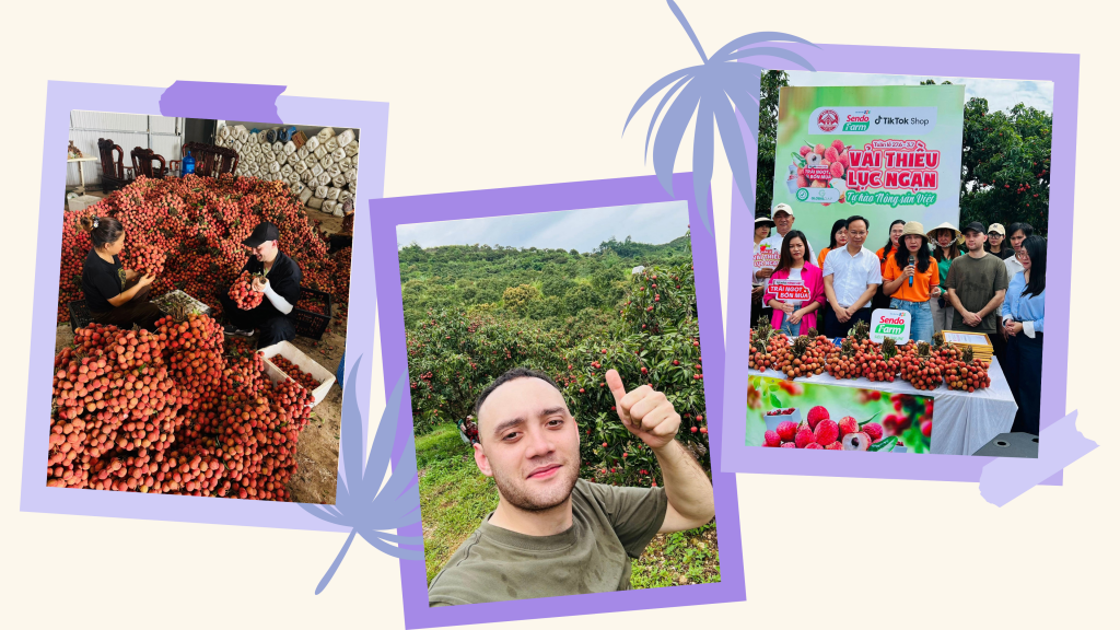 ជនជាតិលោកខាងលិចបីនាក់ជាឯកអគ្គរដ្ឋទូតភាសាវៀតណាម ជនជាតិលោកខាងលិចបីនាក់ជាឯកអគ្គរដ្ឋទូតភាសាវៀតណាម