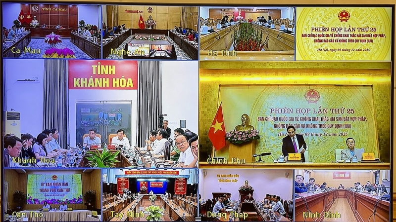 នាវានេសាទ 100% ត្រូវបានចុះបញ្ជីនៅលើ VNFishbase