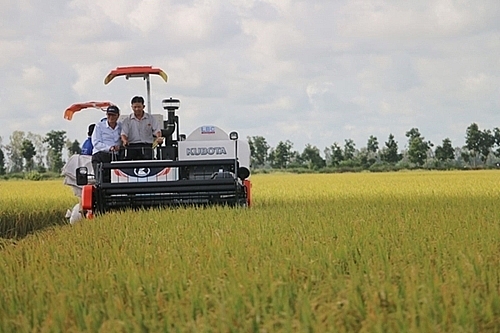 ធានាសន្តិសុខស្បៀងជាតិរហូតដល់ឆ្នាំ ២០៣០