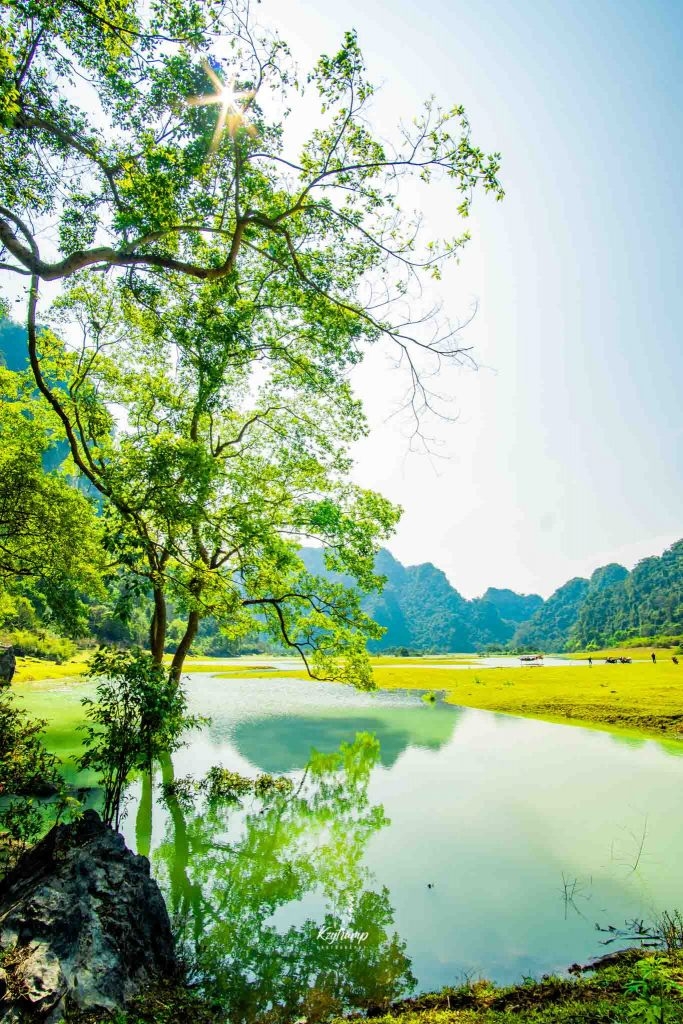 វង្វេងផ្លូវនៅក្នុងវាលស្មៅពណ៌បៃតងនៅ Dong Lam
