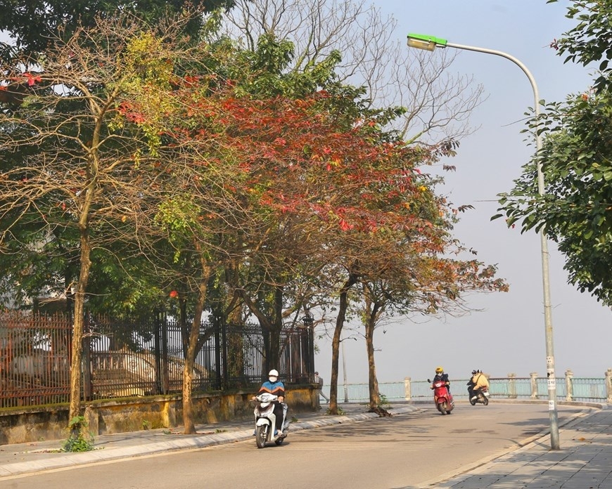 ទេសភាពរដ្ឋធានី Ha Noi ស្រស់ស្អាត ក្នុងរដូវកាលដែលដើមឈើផ្លាស់ប្តូរស្លឹក