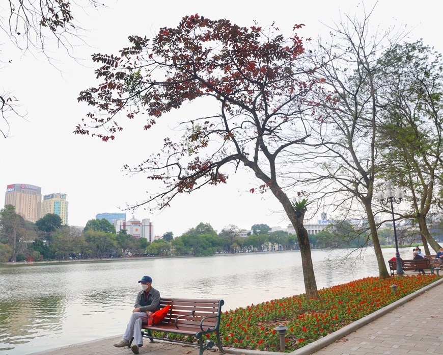 ទេសភាពរដ្ឋធានី Ha Noi ស្រស់ស្អាត ក្នុងរដូវកាលដែលដើមឈើផ្លាស់ប្តូរស្លឹក