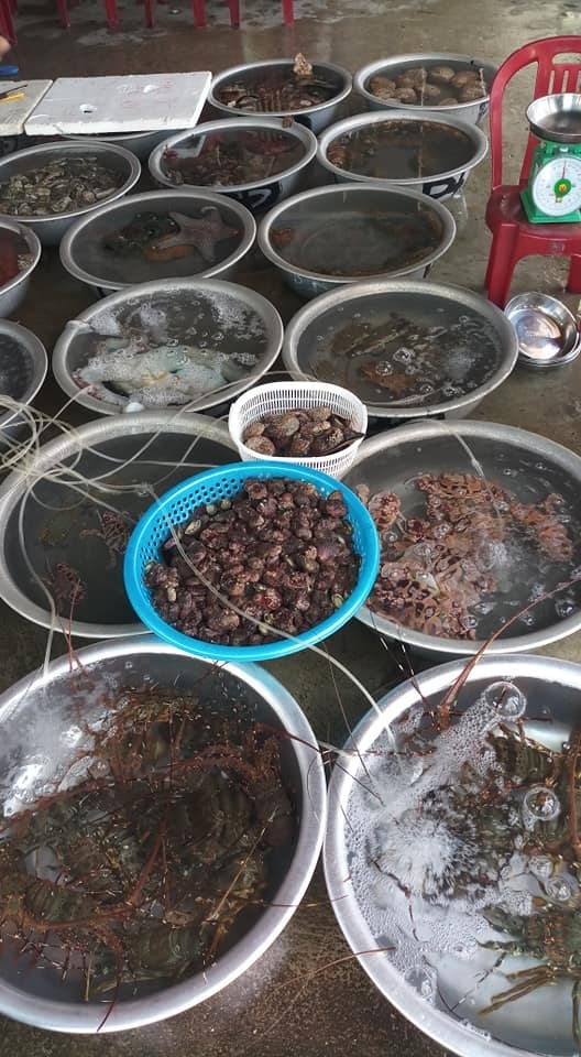 ឋានសួគ៌ទេសចរណ៍នៅ Cu Lao Cham