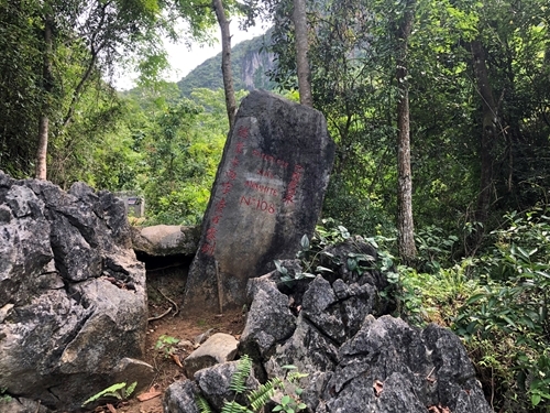 ភាពរុងរឿងនៃ “ទឹកដីប្រទេសវៀតណាម”