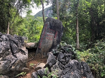 ភាពរុងរឿងនៃ “ទឹកដីប្រទេសវៀតណាម”