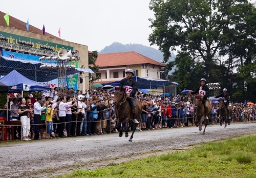 មហោស្រពប្រណាំងសេះ Bac Ha ក្លាយជាបេតិកភ័ណ្ឌវប្បធម៌អរូបីជាតិ