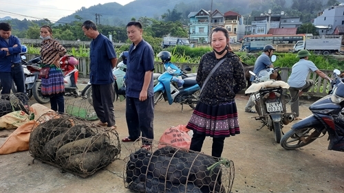 លក្ខណៈពិសេសនៃផ្សារណាត់ Bac Ha