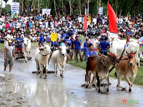 សក្ដានុពលសម្រាប់ការអភិវឌ្ឍទេសចរណ៍សហគមន៍នៅខេត្ត An Giang