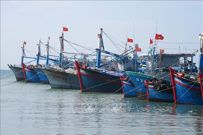 ជំនះលើ “កាតលឿង”របស់ IUU៖ ការផាកពិន័យយ៉ាងតឹងរឹងចំពោះមុខសញ្ញារំលោភ