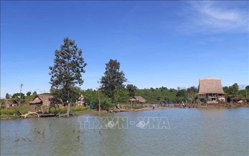 ស្រុក Dak Ha ខេត្ត Kon Tum៖ ជួយជនជាតិភាគតិចឲ្យរួចផុតពីភាពក្រីក្រប្រកបដោយនិរន្តរភាព