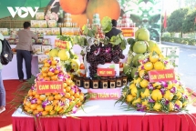 ខេត្ត Bac Giang ពង្រឹងការតភ្ជាប់នៃការលក់ ផលិតផលកសិកម្មនៅលើវេទិកាពាណិជ្ជកម្មអេឡិចត្រូនិក