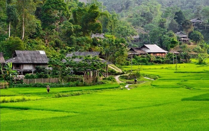 Van Ho - ខេត្ត Son La មានសម្រស់ធម្មជាតិ និងកន្លែងដែលមិនគួររំលង