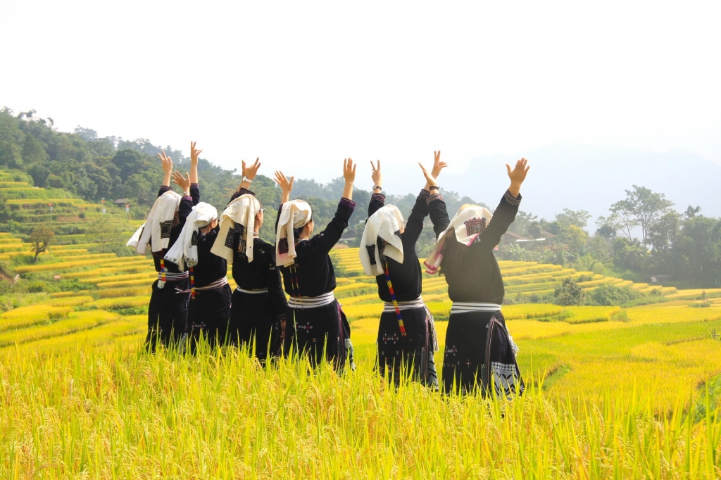 ការទាក់ទាញនៃរដូវកាលមាស Hong Thai ការទាក់ទាញនៃរដូវកាលមាស Hong Thai