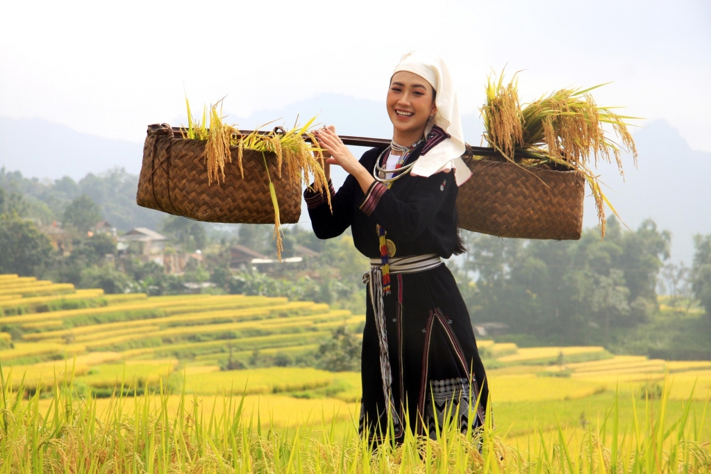 ការទាក់ទាញនៃរដូវកាលមាស Hong Thai ការទាក់ទាញនៃរដូវកាលមាស Hong Thai